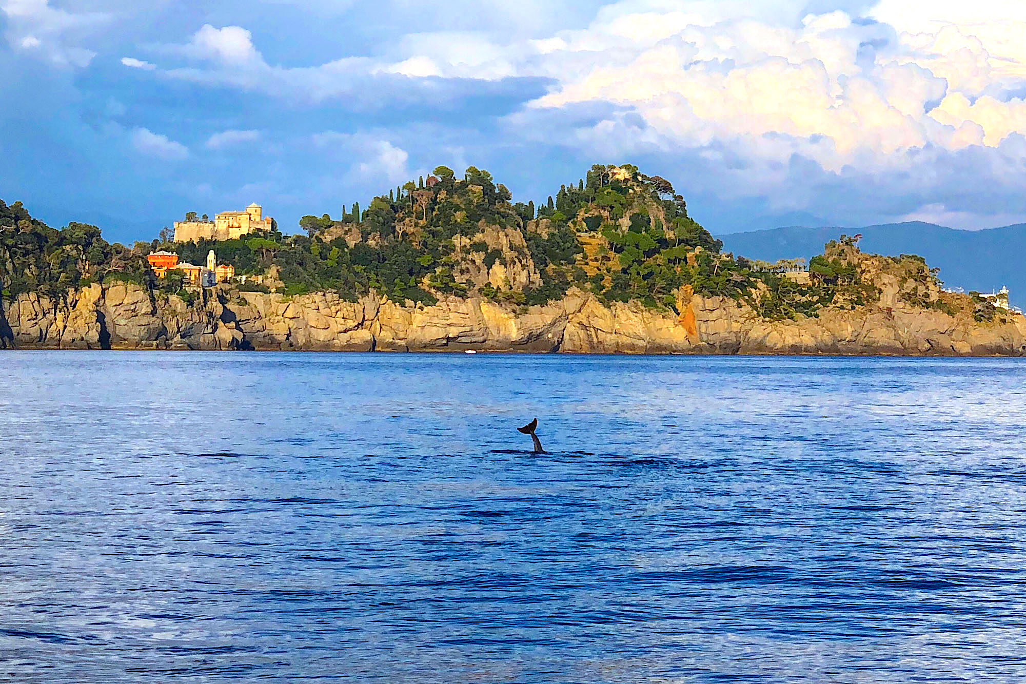 Cesare Charter Portofino - Tour Two Gulfs - Golfo del Tigullio e Paradiso